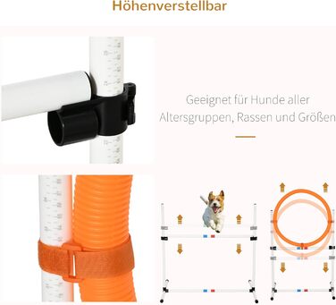 Набір для аджиліті для собак PawHut 3-TLG. Білий+Жовтий, для тренувань