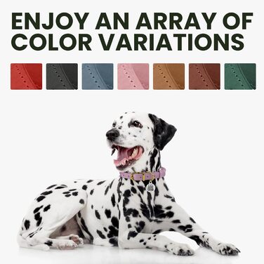 Нашийник для собак BRONZEDOG з QR-ID, шкіряний, регульований, м'який, круглий, для собак маленьких, середніх та великих порід, цуценят та котів (Смарагдовий, 40-48 см)