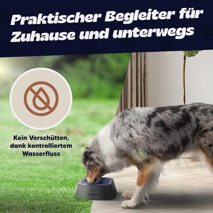 Napfgeflüster® Bella - Миска для води для собак та котів, 1л, не проливається, для подорожей