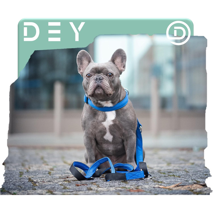 Преміум нашийник для собак DEY Air Mesh | Регульований | для малих, середніх та великих собак | багато кольорів та розмірів | нашийник для собак та котів | нашийники для собак | нашийник для цуценят | Рожевий, M [M/L] - 2,5 x 34-49 см Рожевий