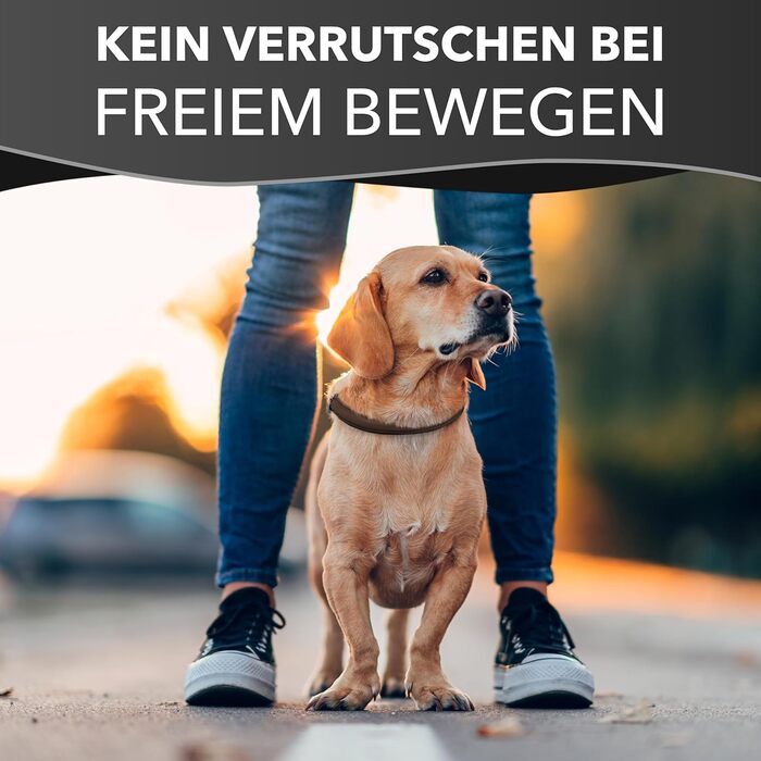 Rund & Weich - Stop Dog Collar Brown L - 55cm with Adjustable Buckle and Integrated Stable Core, Leather Collar with Pull Limiter, Pull Stopper Gentle on Fur, Cowhide Leather