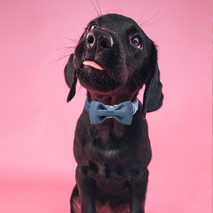Елегантний ошийник для собак Aring з бантиком, м'який велюровий ошийник, регульований, темно-синій, подарунок для дівчаток та хлопчиків
