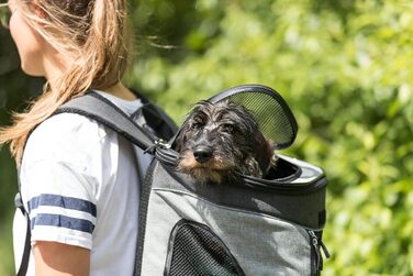 Рюкзак Timon, 34 × 44 × 30 см, чорний/сірий