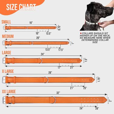 Надійний поводок для собак Riparo XXL, 3.8 см, оранжевий