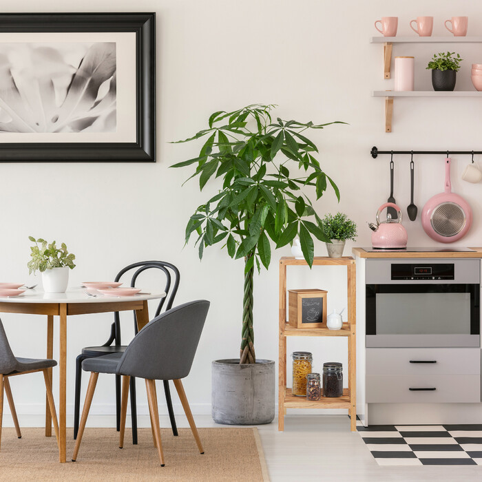 Relaxdays Walnut 3-Tier Shelf