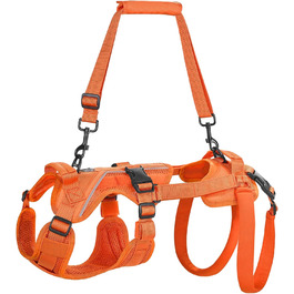 колір: помаранчевий