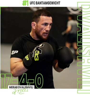 Starpro M33 Boxing Gloves for Powerful Punches & Quick Knockouts - Men's & Women's Boxing Gloves Set, Training & Sparring Gloves, 12oz, Matte Grey/Neon Green & Matte Black/Gold