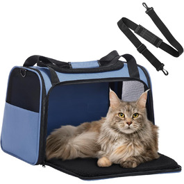 колір: блакитний