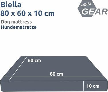 Ваше ліжко для собак GEAR Biella ортопедичне, з екошкіри, миється, для суглобів, високий рівень комфорту (80x60x10 см)