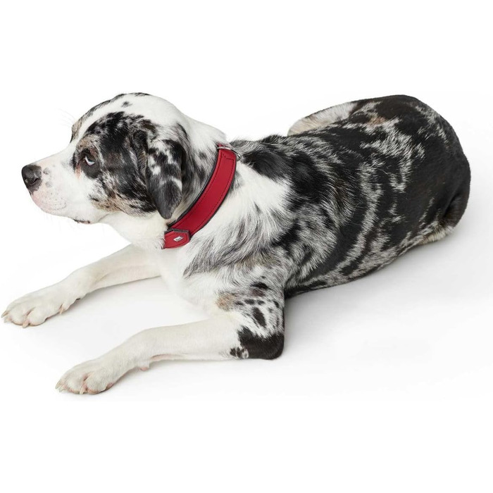 Нашийник для собак HUNTER SOFTIE, штучна шкіра, червоний, розмір L