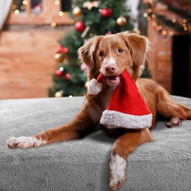 М'яка флісова підстилка для собак та котів Nobleza, 160 x 120 см (XXL, світло-сіра)