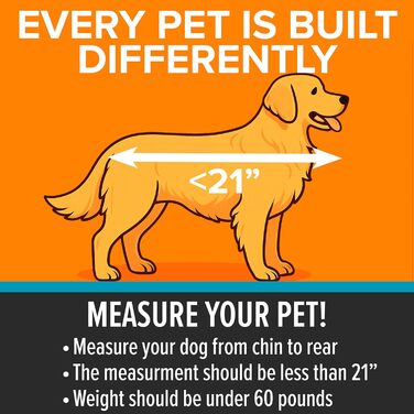 Автомобільний лежак для собак K&H Pet Products Buckle N' Go, великий (21x19x19 дюймів), сірий, водонепроникний, з регульованим ременем безпеки