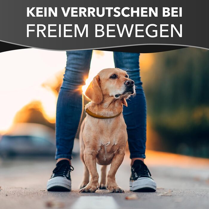 Rund & Weich - Dog Collar with Stop Feature - Size L - 55cm with Adjustable Buckle and Integrated Stable Core, Leather Collar with Pull Limiter, Gentle on Fur Pull Stopper, Cowhide Leather (55 L, Cognac)