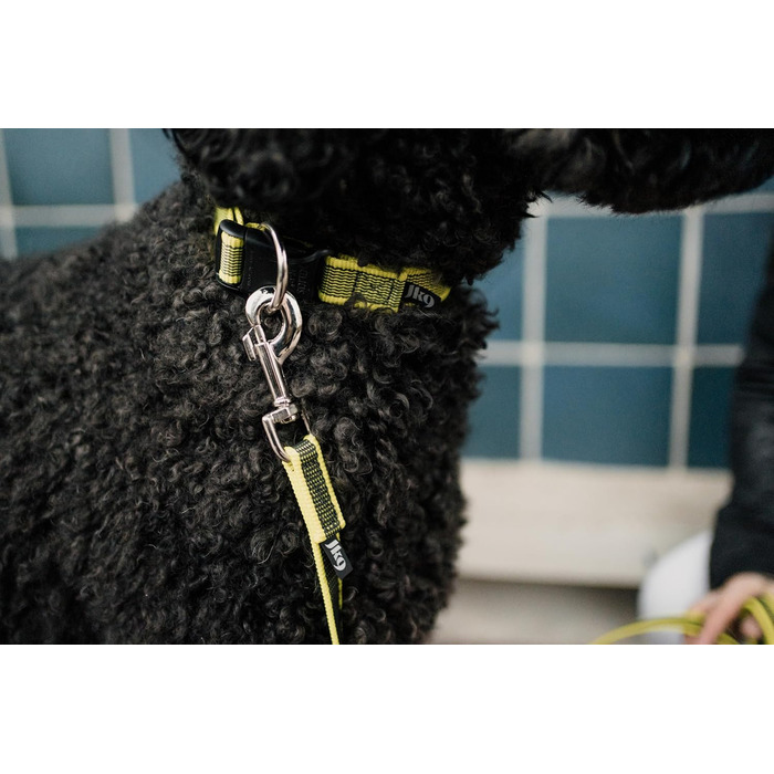 Нашийник для собак JULIUS K-9 200HA-K-2015 серії Color & Gray, чорно-сірий, регульований, 50 мм, 49-70 см (без ручки)