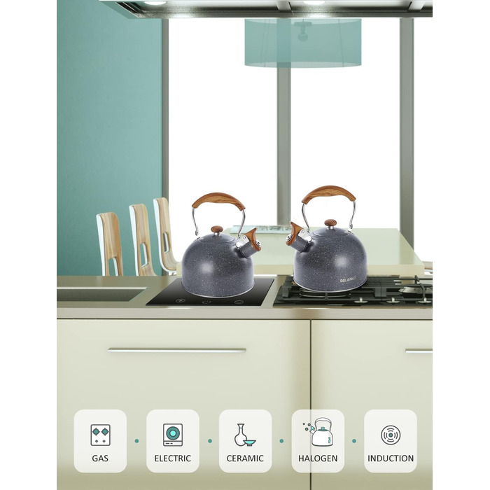 Чайник BELANKO 2,5 л з свистком, нержавіюча сталь, з дерев'ястим декором, складаний ручка, для чаю, кави, молока – блакитний (сірий)