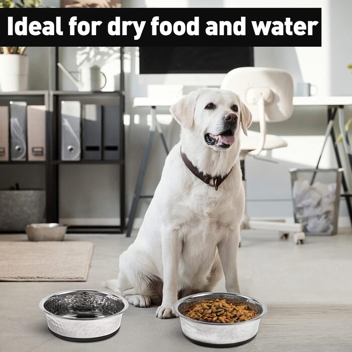Набори мисок для собак великих, середніх та малих порід, 2 шт. з нержавіючої сталі з антиковзним силіконом, 22 см