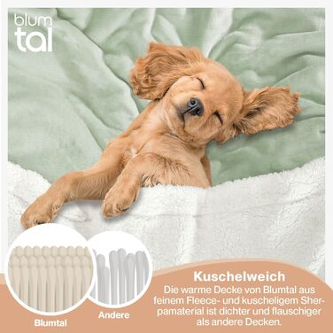 Плед Blumtal Premium Sherpa з м'якою внутрішньою стороною Sherpa, 230x270 см - сертифікат Oeko-Tex, теплий та пухнастий плед для дивану (Літне зелене, 150x200 см)