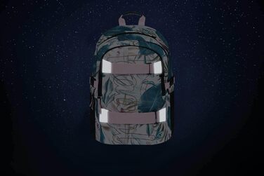 Шкільний рюкзак Baagl для хлопчиків та дівчаток - рюкзак на скейтборді з відділенням для ноутбука та нагрудним ременем, для школи, старшої школи, середньої школи, принт Skate Leafs