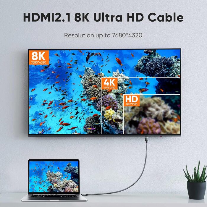 ARISKEEN HDMI 2.1 Кабель 8K (2.5м) - 48Gbps, Nylon, Підтримка 8K@60Hz, 4K@120Hz, для PS5/4, TV, Monitor, Blu-ray, Soundbar, DVD, Laptop