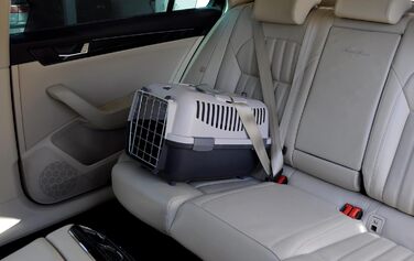 Транспортна переноска для собак та котів Nomade 2 - 55 x 36 x 35 см, до 8 кг, зелений лінден, міцний поліпропілен
