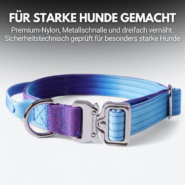 Тактичне нашийник для собак Spark Paws – міцний, преміум-якість, для великих та середніх собак (90s Retro, XS: 9-18кг [2.5см])