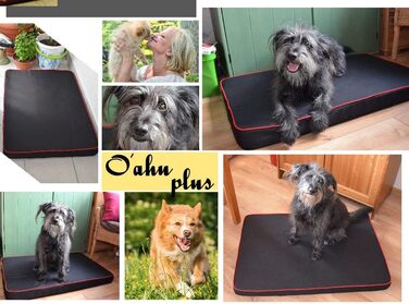 FORTISLINE Dog Mat Dog Bed OAHU Plus 2 Sizes 4 Colors (XL - 120x80x8cm, Grey)