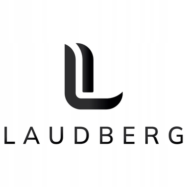 Бездротові накладні Bluetooth-навушники Laudberg H1B, чорні, з ANC та кейсом