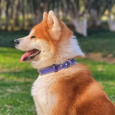 Нашийник для собак з натуральної шкіри, зелений, ширина 2.5 см, розмір M (обхват шиї 40-51 см)