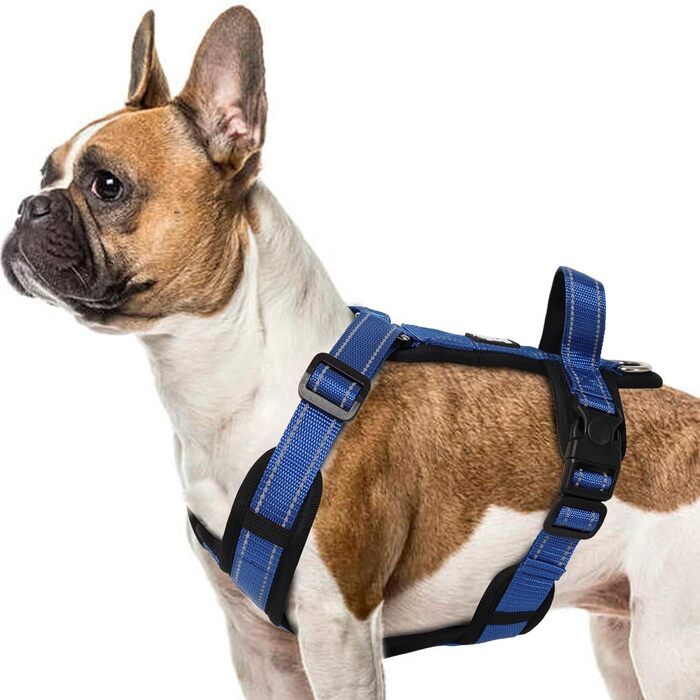 Нашийник для собак Mittel, світловідбиваючий, анти-тяга, з м'якою підкладкою та ручкою, для цуценят та собак середніх розмірів (S, блакитний)