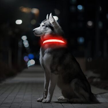 Світловідбиваючий нашийник для собак MABRILL з LED-підсвічуванням, перезаряджається, водонепроникний, для малих, середніх та великих собак, 3 режими світла, червоний (L)