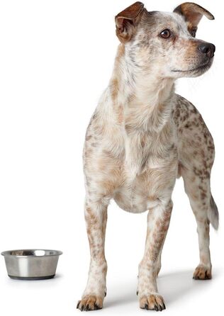 Миска для корму та води Hunter з нержавіючої сталі, 2700 мл, з силіконовим дном, стійка до ковзання, легко миється, довговічна