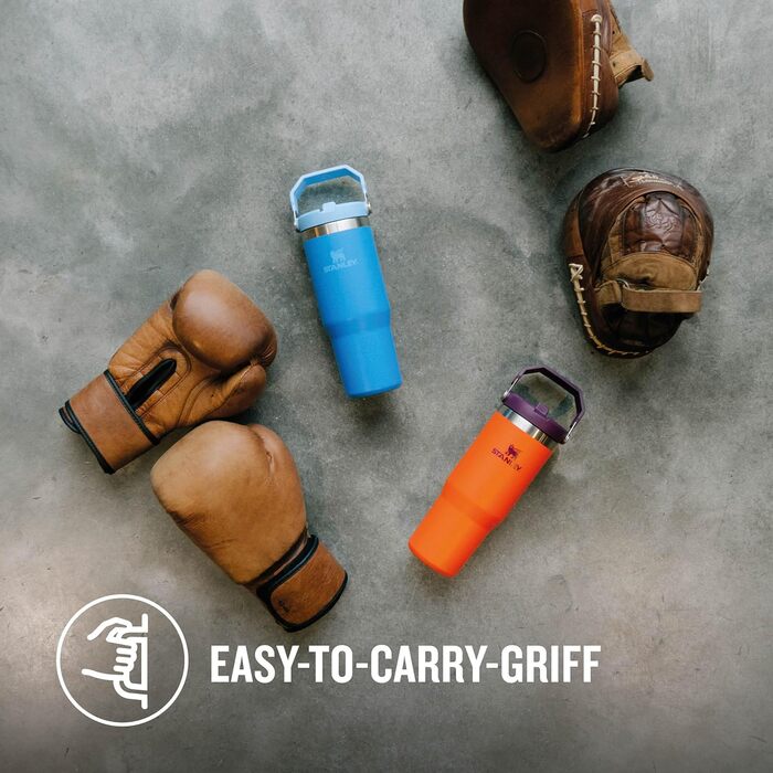 Stanley Flip Straw Tumbler 1.0 Drinking Bottle with Straw 0.89L - Thermos Bottle Keeps 12+ Hours Cold - Dishwasher Safe - Sports Bottle - Water Bottle BPA Free - (Tigerlily Plum)