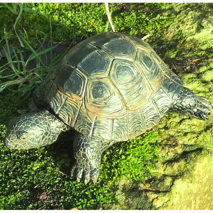 Tier-Knallbonbons, realistic turtle, weather-resistant, resin, decoration for pond lovers