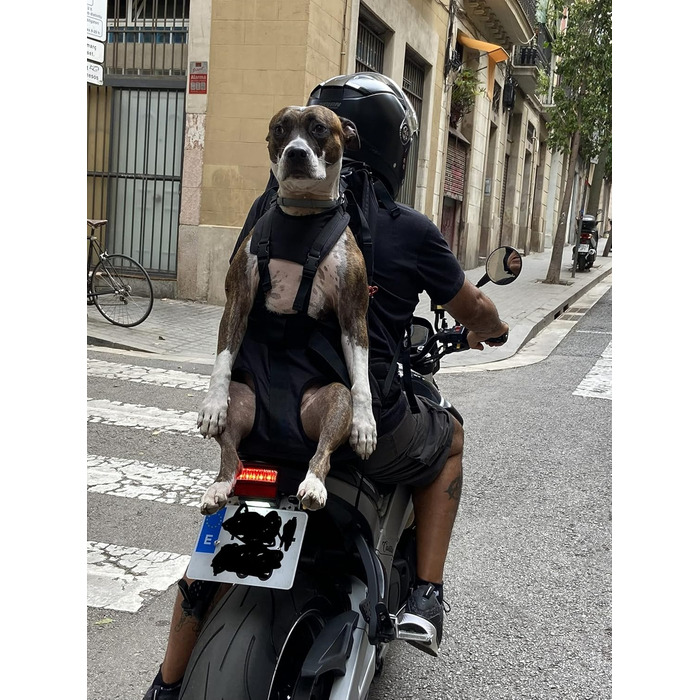 Преміум рюкзак для собак, переноска для собак 11-18 кг, система підтримки 4-х ременів