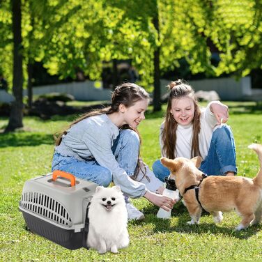 Транспортна переноска для собак та котів Aufun, 48x32x32 см, пластик з металевим ґратом, сіра та чорна