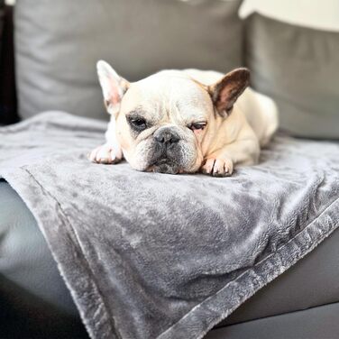 М'яка підстилка для собак та котів 4L Textil - підстилка для подорожей, для дому, захист дивану, 60x40/100x80 см, бежева/сіра