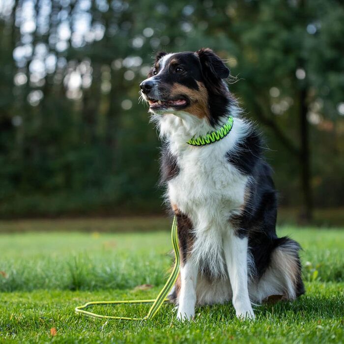 Нашийник для собак Sprenger з паракорду Nylon, 55 см, жовтий, з кліпсою з нержавіючої сталі, водовідштовхуючий, відбиваючий, міцний