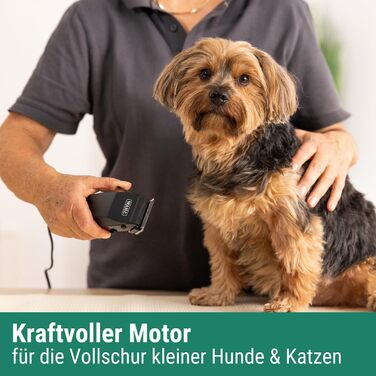 Машинка для стрижки собак Agrarzone Edition Wahl 1400 з набором гребінців - тиха професійна машинка Moser для маленьких собак, як Йоркширський тер'єр, ергономічна та довговічна