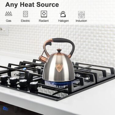 Чайник для плити Teekessel з нержавіючої сталі, 2,9 л