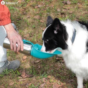 LumoLeaf Stainless Steel Dog Water Bottle - 800ml Portable Pet Water Dispenser for Travel, Hiking & Camping (Blue)
