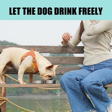 Термофляга для собак 950 мл 3-в-1 з мискою та водопоєм, з нержавіючої сталі, для подорожей та активного відпочинку (Блакитний, L)