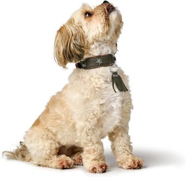 Нашийник для собак HUNTER München, зелено-коричневий, шкіряний, з вишуканими деталями, м'який та міцний, не травмує шерсть, екологічний, Made in Germany, розмір 50