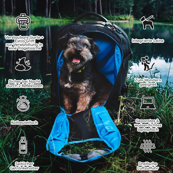 Рюкзак-переноска для собак PETYPAW до 9 кг, дихаючий, водонепроникний, для подорожей і прогулянок