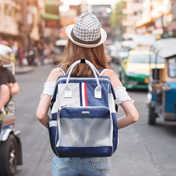 Рюкзак для котів та маленьких собак Galatée, зручний та дихаючий, для подорожей, хандеру та кемпінгу (блакитний)