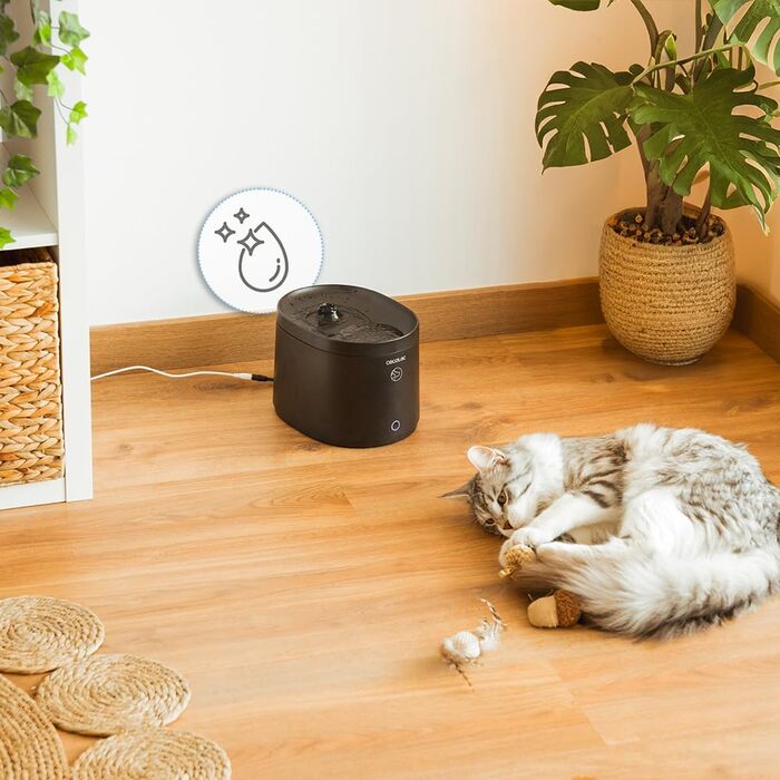 Автоматичний годівниця для домашніх тварин Cecotec Pumba 1600 Purrfect Meal - 1.6 л, 4 відділення, LED, таймер, запис голосу + фонтанчик для води 2.5 л