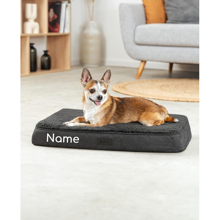 Ортопедичне ліжко для собак Lionto, 60x40x8 см, міцне, з м'яким плюшем, знімний та пральний чохол, водовідштовхувальне, для собак та котів (60x40x8 см, чорне)