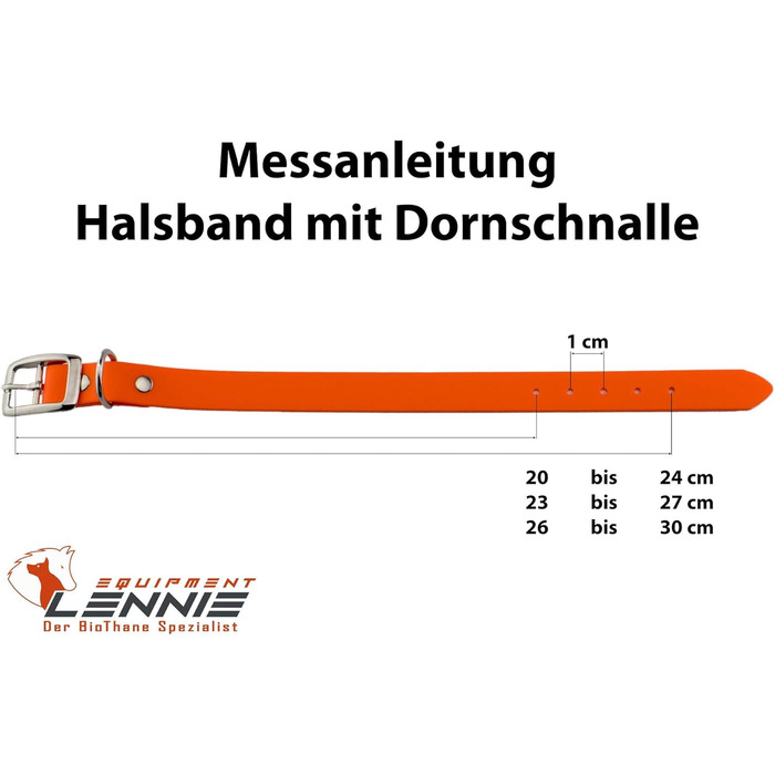 Ленні нашийник для собак Biothane 25 мм, з подвійною пряжкою, персоналізований з ім'ям/номером телефону, стійкий до бруду та води (13 мм)