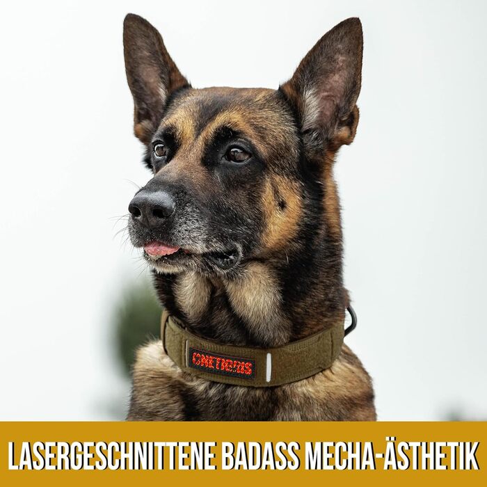 Нашийник для собак OneTigris X11: міцний нейлон, регульований, з м'якою підкладкою, металевий замок та світловідбиваючі елементи