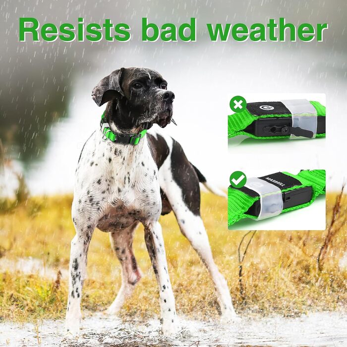 Світловідбиваючий нашийник для собак MABRILL з LED підсвічуванням, водонепроникний, регульований, 3 режими світла, зелений (L)