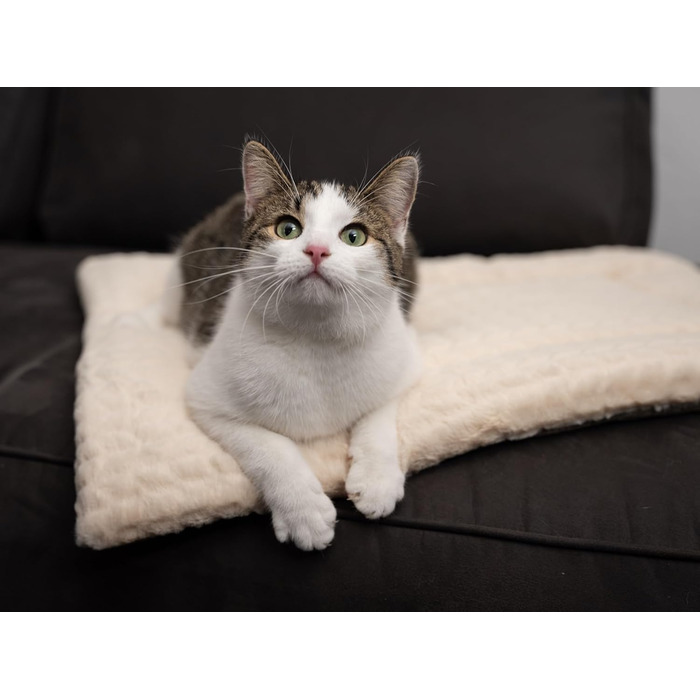 TrendPet Лежанка для собак і котів, двостороння, з підкладкою, 90x65 см, бежева